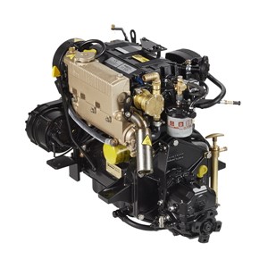 LDW1003 Marine motor