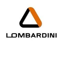 Lombardini Dynamoreim